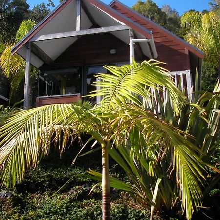 Bay Cabinz Motel Paihia Eksteriør bilde